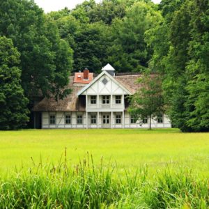 Three Best Services Offered By Expert Tree Companies