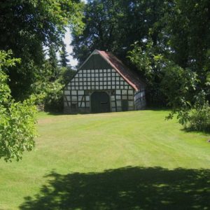 Fundamentals Of Lawn Care – Essentials To Remember