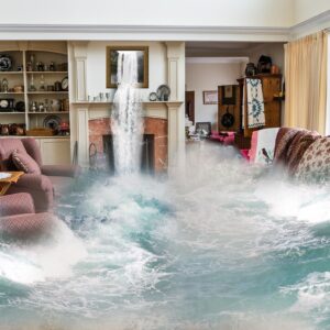 Applying For Water Damage Insurance – The Crucial Role That It Plays