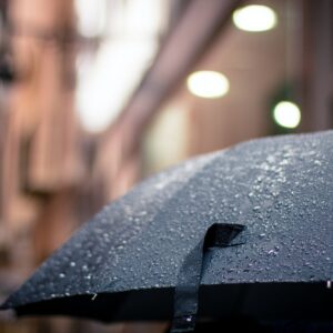 Discussing the Many Uses and Newer Features of Umbrellas Today