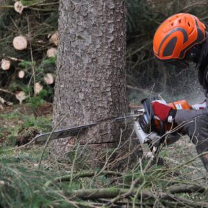 Enumerating the Many Awesome Uses of Chainsaws and Why You Should Buy Yourself One