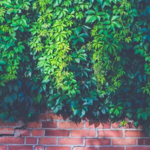 Awesome Reasons to Have a Brick Fence Built By Pros – The Huge Difference It Makes