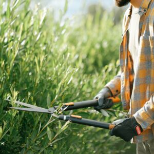 A Closer Look at Some of the Most Useful Gardening Tools You Should Consider Getting