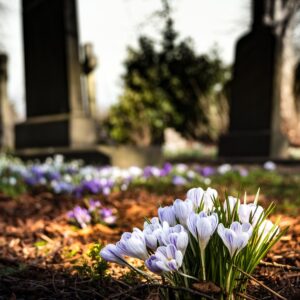 Going Over the Many Benefits of Having a Comprehensive Funeral Plan in Place