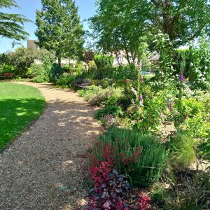 10 Essential Plants and Herbs to Grow in Your Garden